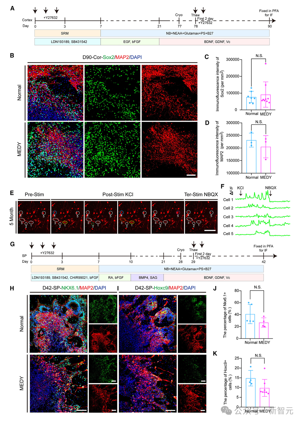 Kaiyun中国官方网站里程碑夜明尼苏达森林狼强势反弹，德国杯冲刺阶段刷纪录，目标明确，团队化学反应显著的简单介绍